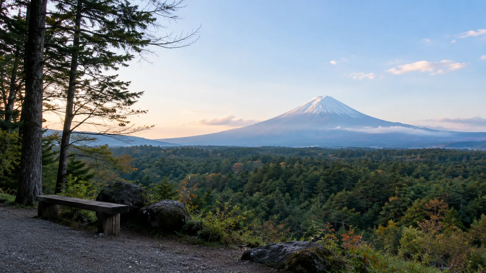 Aokigahara Forest