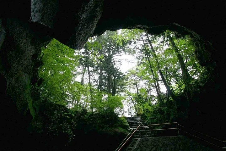 View from inside a cave looking up at green trees and sky.